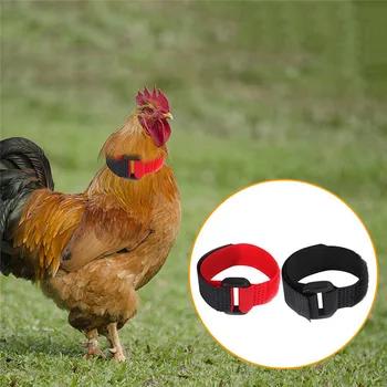 רוסטר רעש-חינם אנטי-הוק Neckband צווארון 2pcs תרנגול הצוואר קולר ציוד ניילון צווארון תרנגול אספקה