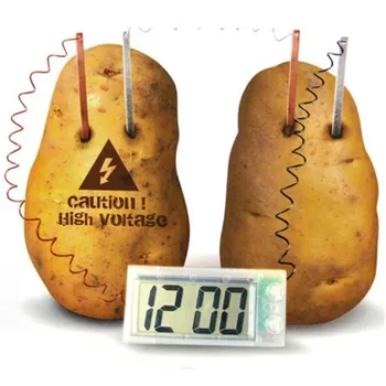 שעון תפוחי אדמה מדעי פרויקט ניסוי ערכת ילדים DIY בבית הספר מעבדה צעצוע מתנות
